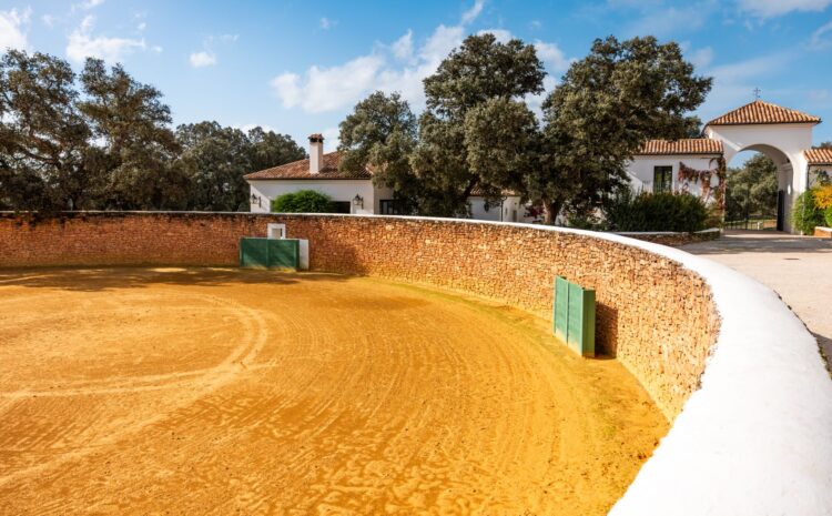  Cotos de caza en Córdoba: Carboneras y Puerto del Toro