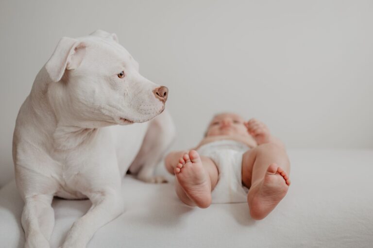 Cuidar perritos bebés: Enseña responsabilidad y amor familiar