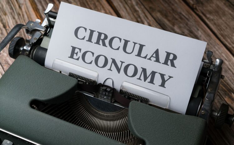  Economía Circular: Claves para un Futuro Sostenible y Eficiente
