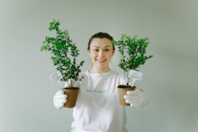  Ecosia: El motor de búsqueda que planta árboles y cuida el planeta
