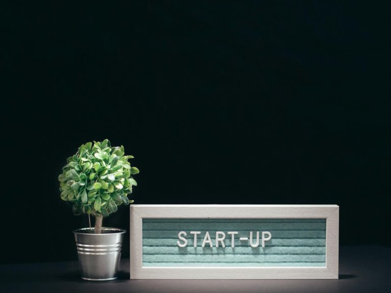 ejemplos de startups guia completa sobre start ups innovadoras