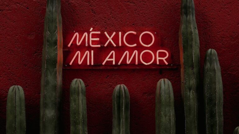 es seguro viajar a mexico por libre consejos y recomendaciones
