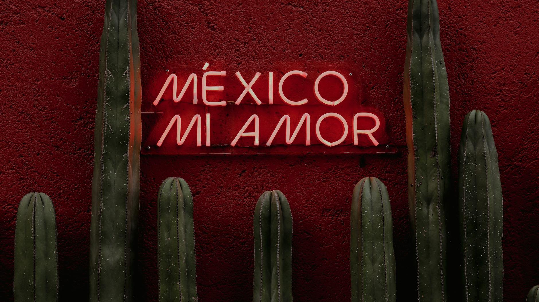 es seguro viajar a mexico por libre consejos y recomendaciones