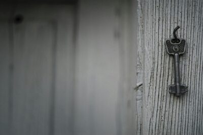  Forrar con madera la pared: ventajas y desventajas clave