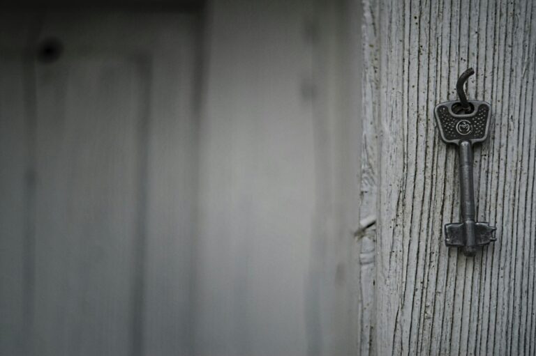 forrar con madera la pared ventajas y desventajas clave