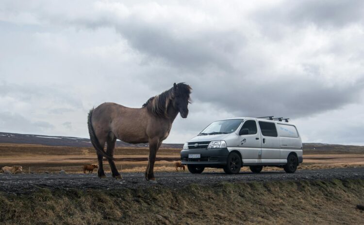 Furgoneta de caballos: guía para un transporte seguro y cómodo