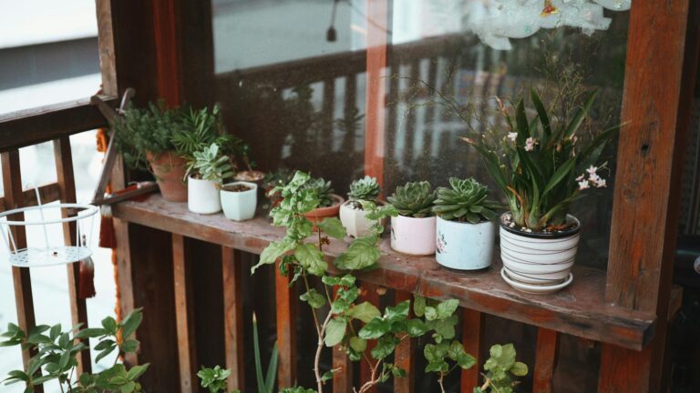 jardin vertical terraza pequena belleza y funcionalidad en casa