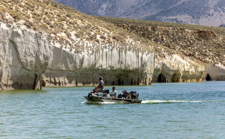  Licencia de pesca gratis: requisitos y excursiones de pesca