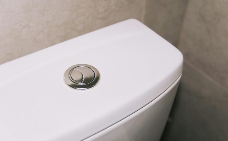  Litros cisterna WC: 3 formas de ahorrar agua efectivas