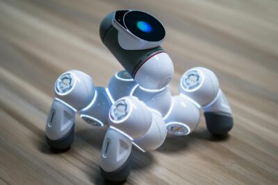  Mascotas de juguetes: Innovación y variedad para tu perro