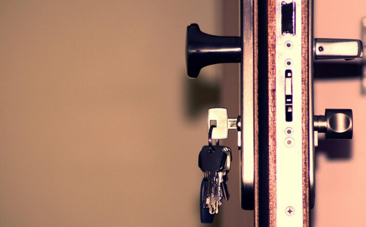  Muelle puerta con retenedor: seguridad y comodidad en casa