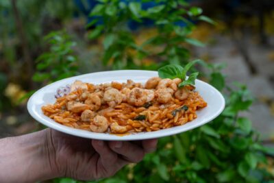  Recetas niños: Comida para niños fácil y saludable para todos