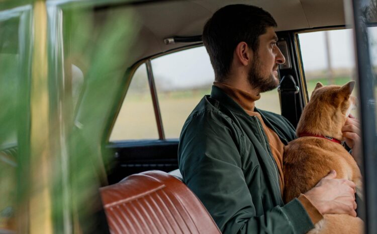  Red perro coche: Transporta a tu mascota de forma segura