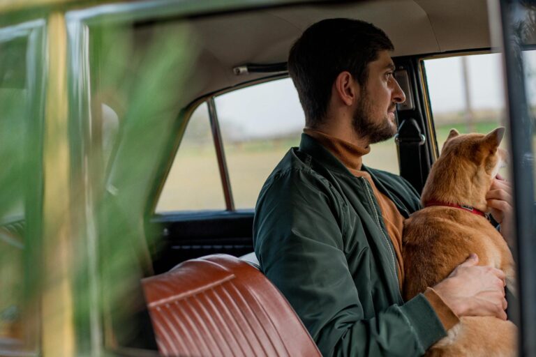 Red perro coche: Transporta a tu mascota de forma segura