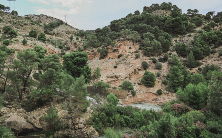  Ruta Chelva: Descubre el Parking Chelva Río y su Naturaleza