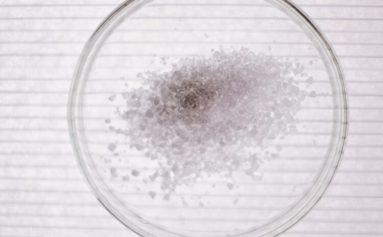  Sodium benzoate: ¿Qué es y por qué evitarlo en cosméticos?