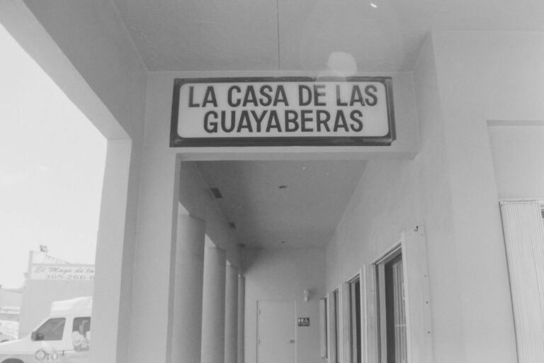 Solicitar custodia compartida: ¿Cómo funciona la custodia compartida?