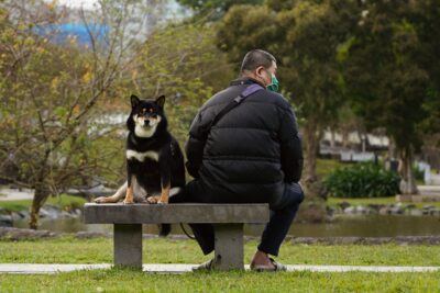  Tranquilizante de humanos para perros: guía y precauciones