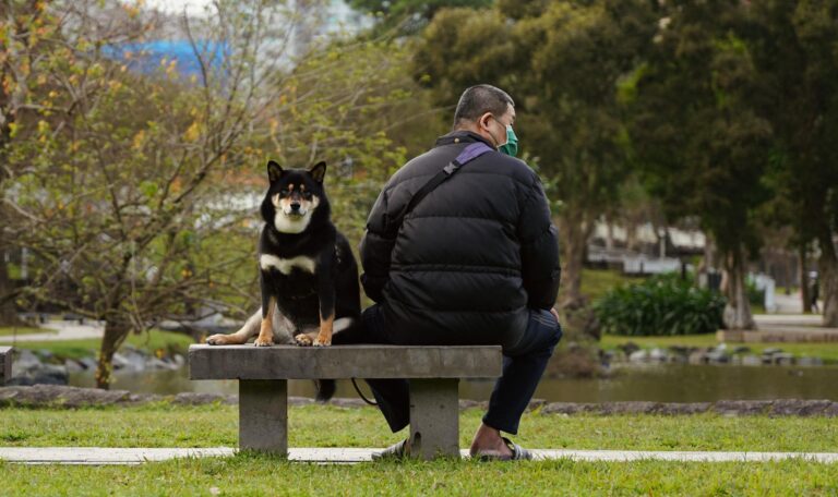 tranquilizante de humanos para perros guia y precauciones